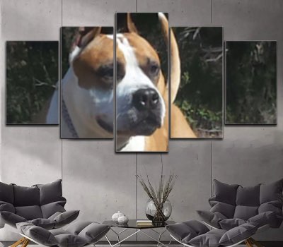 Personalizado a Medida Lienzo Artístico Edición Limitada 5 Piezas - ARTYHC™