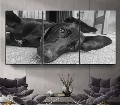 Personalizado a Medida Lienzo Artístico Edición Limitada 3 Piezas - ARTYHC™