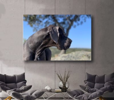 Personalizado a Medida Lienzo Artístico Edición Limitada 1 Pieza - ARTYHC™