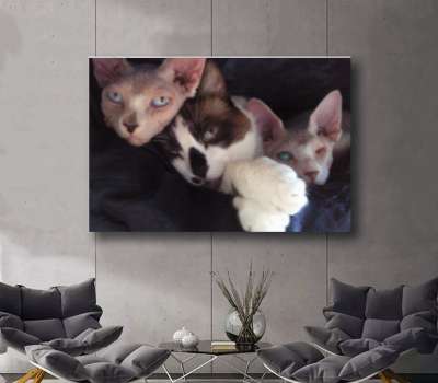 Personalizado a Medida Lienzo Artístico Edición Limitada 1 Pieza - ARTYHC™