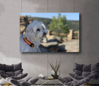 Personalizado a Medida Lienzo Artístico Edición Limitada 1 Pieza - ARTYHC™