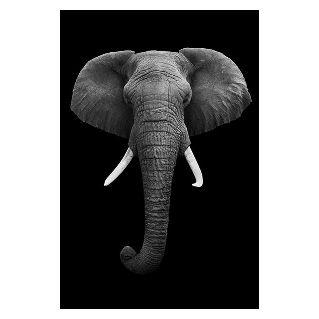 Elegancia Animal Estilo 1 Lienzo Artístico 1 Pieza