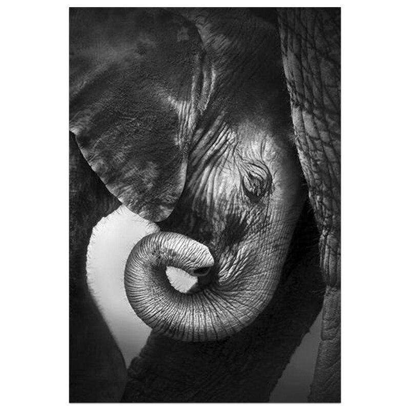 Tranquilidad Animal Lienzo Artístico 1 Pieza - ARTYHC™