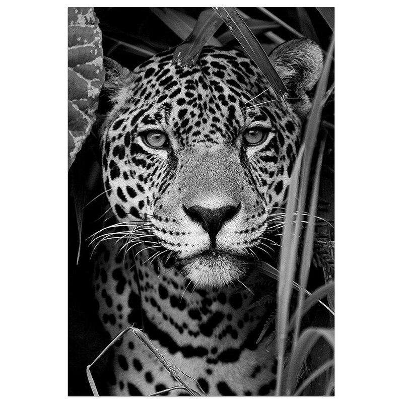 Tranquilidad Animal Lienzo Artístico 1 Pieza - ARTYHC™