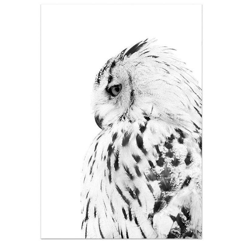 Tranquilidad Animal Lienzo Artístico 1 Pieza - ARTYHC™