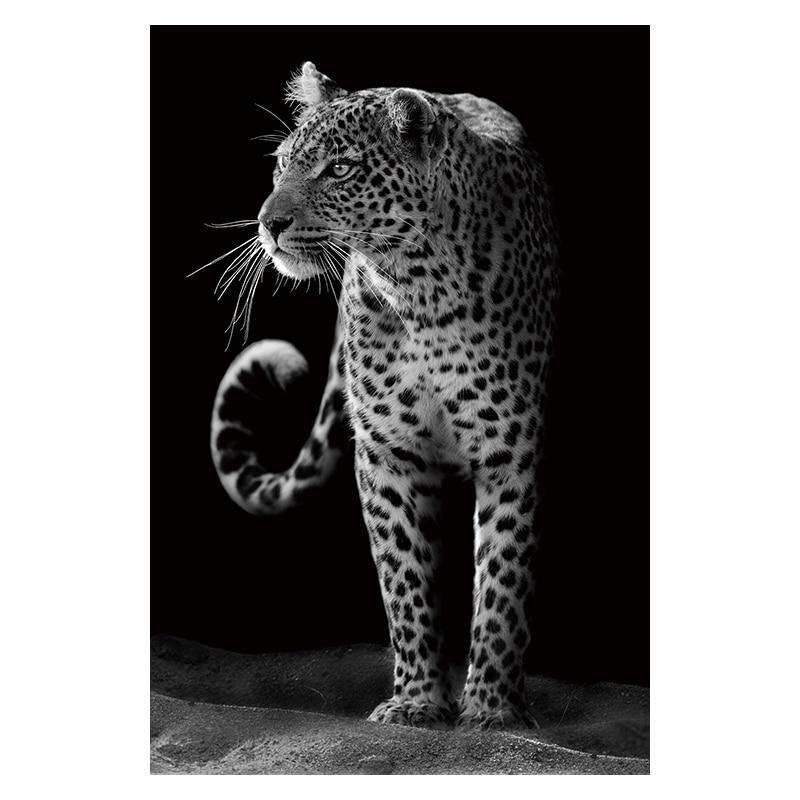 Elegancia Animal Estilo 2 Lienzo Artístico 1 Pieza - ARTYHC™