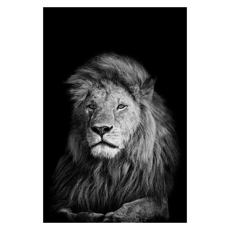Elegancia Animal Estilo 2 Lienzo Artístico 1 Pieza - ARTYHC™