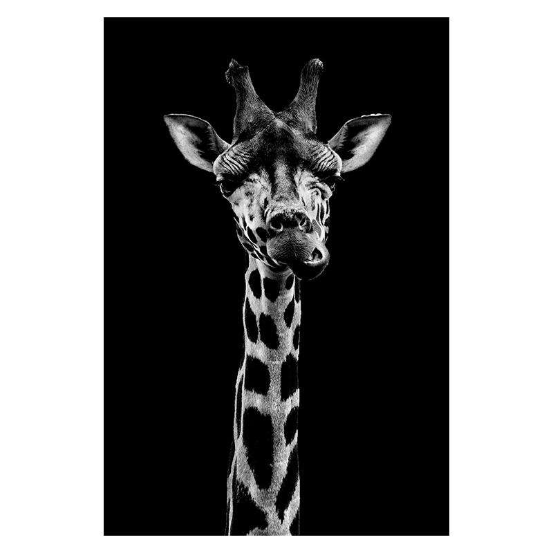 Elegancia Animal Estilo 2 Lienzo Artístico 1 Pieza - ARTYHC™