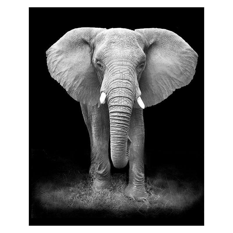 Elegancia Animal Estilo 1 Lienzo Artístico 1 Pieza - ARTYHC™