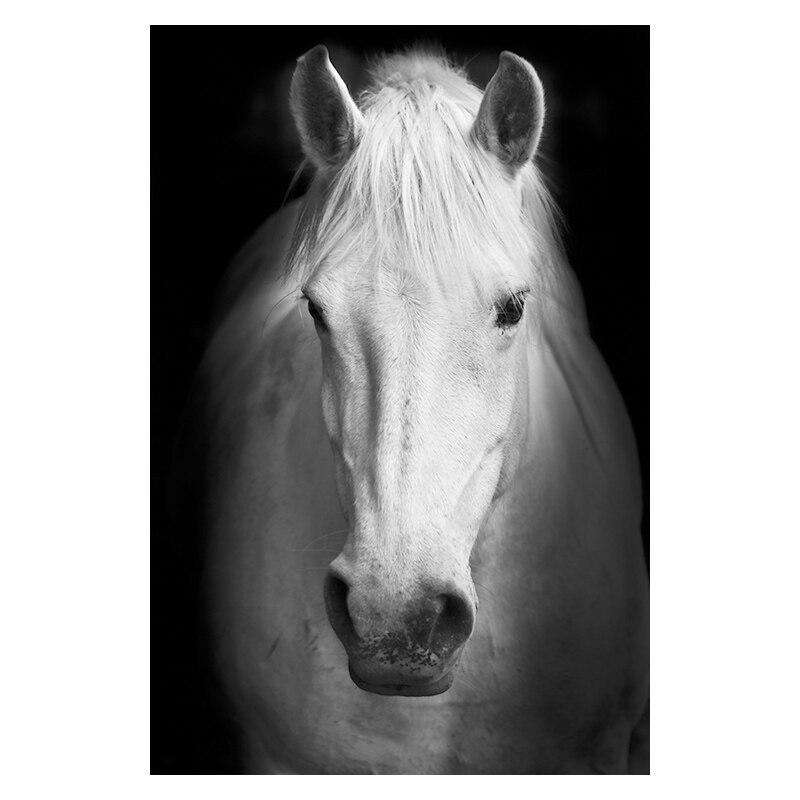 Elegancia Animal Estilo 1 Lienzo Artístico 1 Pieza - ARTYHC™