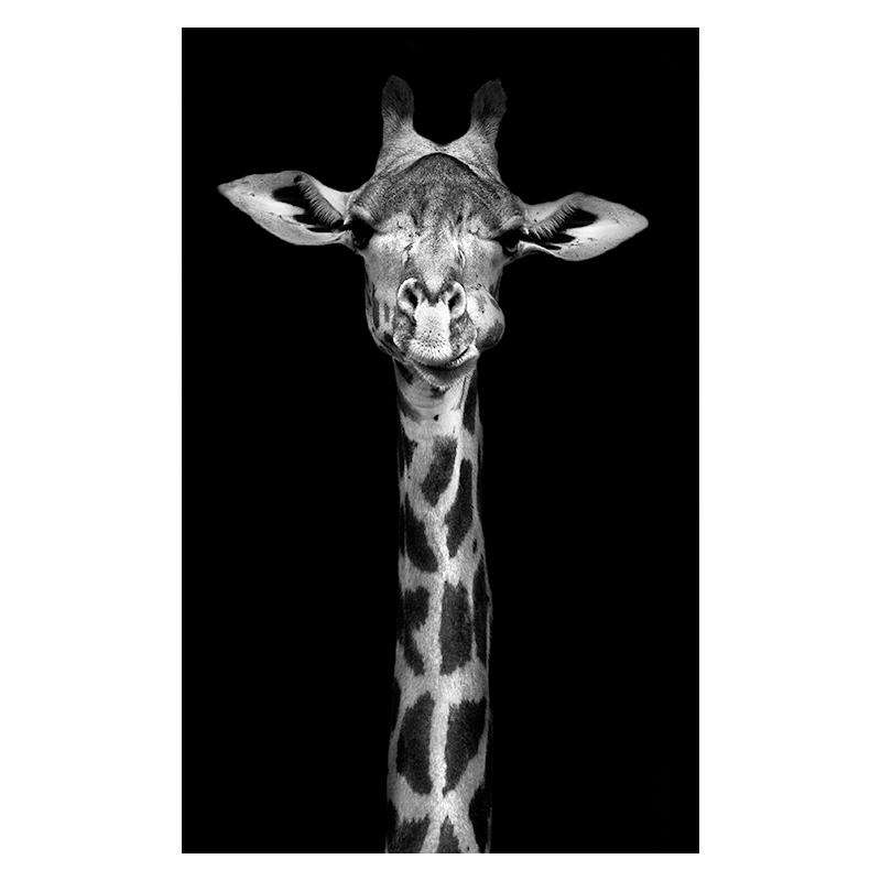 Elegancia Animal Estilo 1 Lienzo Artístico 1 Pieza - ARTYHC™