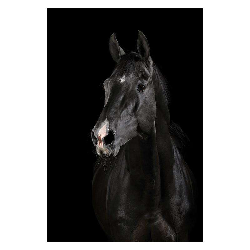 Elegancia Animal Estilo 1 Lienzo Artístico 1 Pieza - ARTYHC™