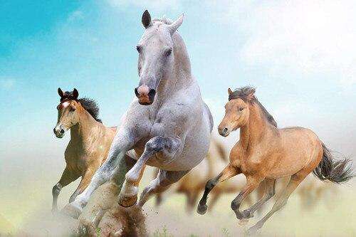 Carrera de Caballos Lienzo Artístico 1 Pieza - ARTYHC™