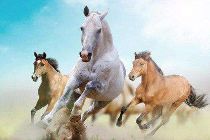 Carrera de Caballos Lienzo Artístico 1 Pieza - ARTYHC™