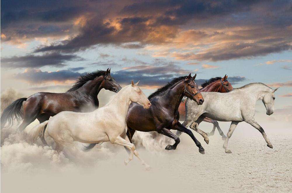 Carrera de Caballos Lienzo Artístico 1 Pieza - ARTYHC™