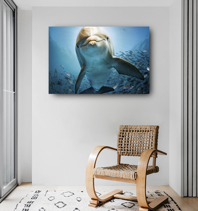 Vida de Delfín Lienzo Artístico 1 pieza - ARTYHC™