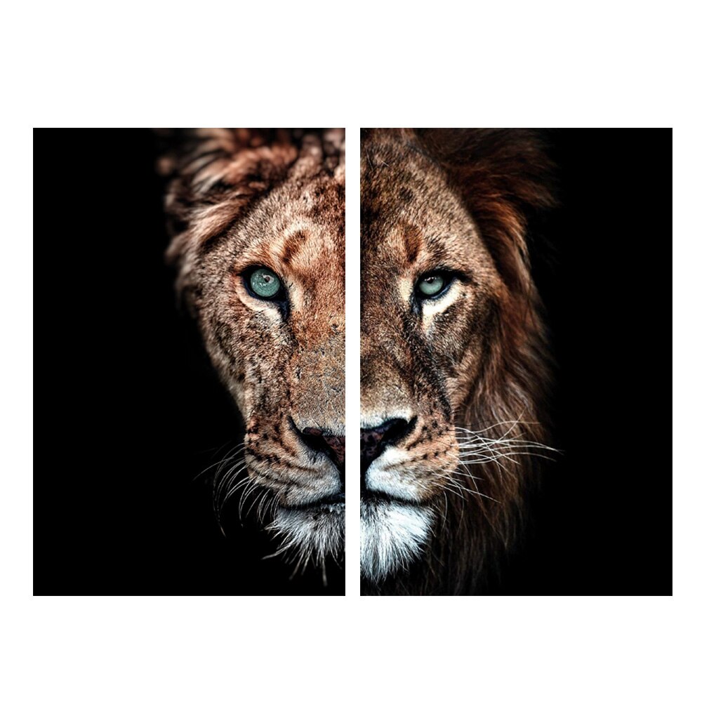 Doble Cara Animal Lienzo Artístico 2 Piezas - ARTYHC™