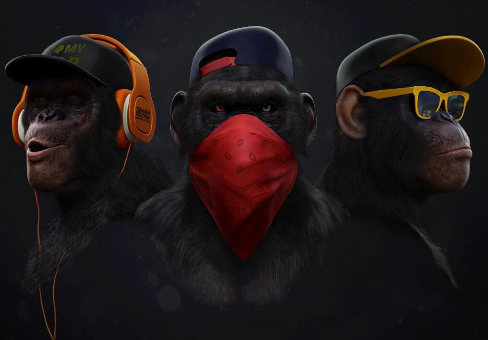 Los 3 Simios Lienzo Artístico Edición Limitada 1 Pieza - ARTYHC™