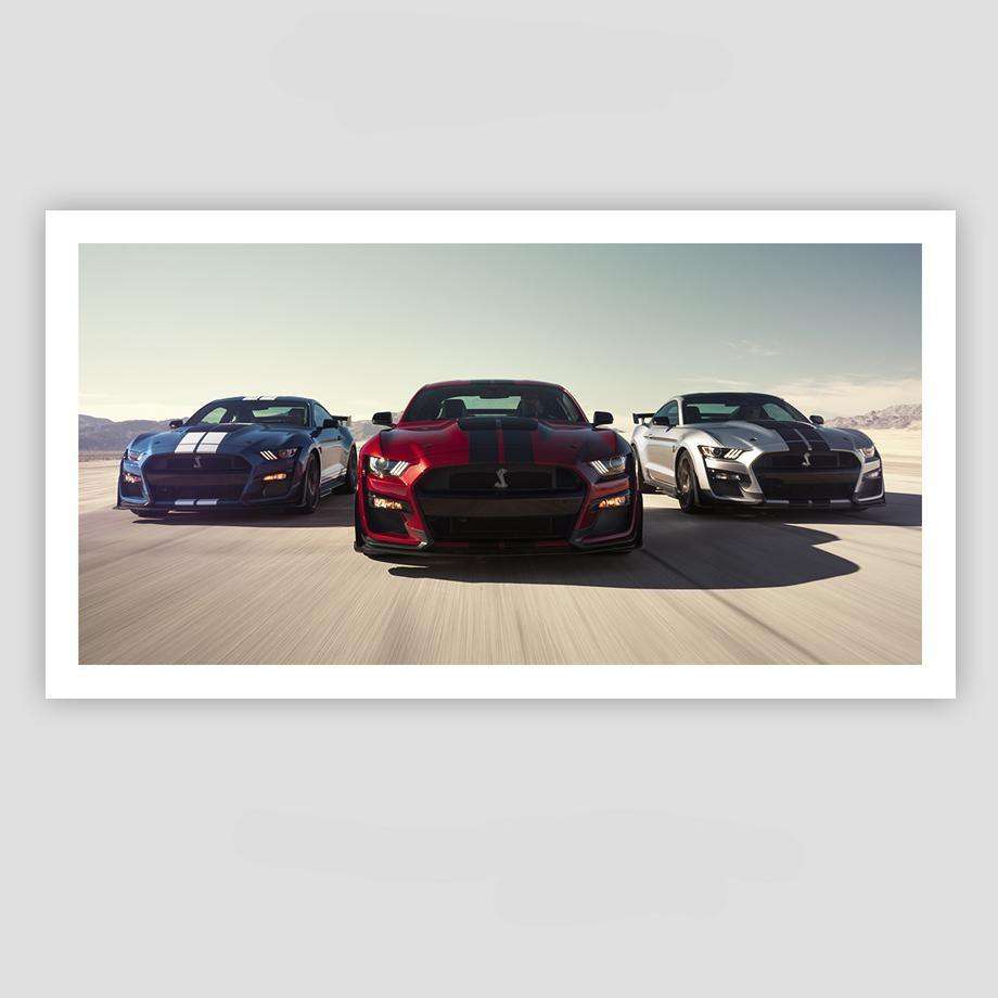 3 Colores GT500 Lienzo Artístico 1 Pieza - ARTYHC™