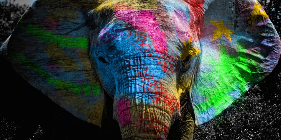 Elefante colorido Lienzo Artístico 1 Pieza - ARTYHC™