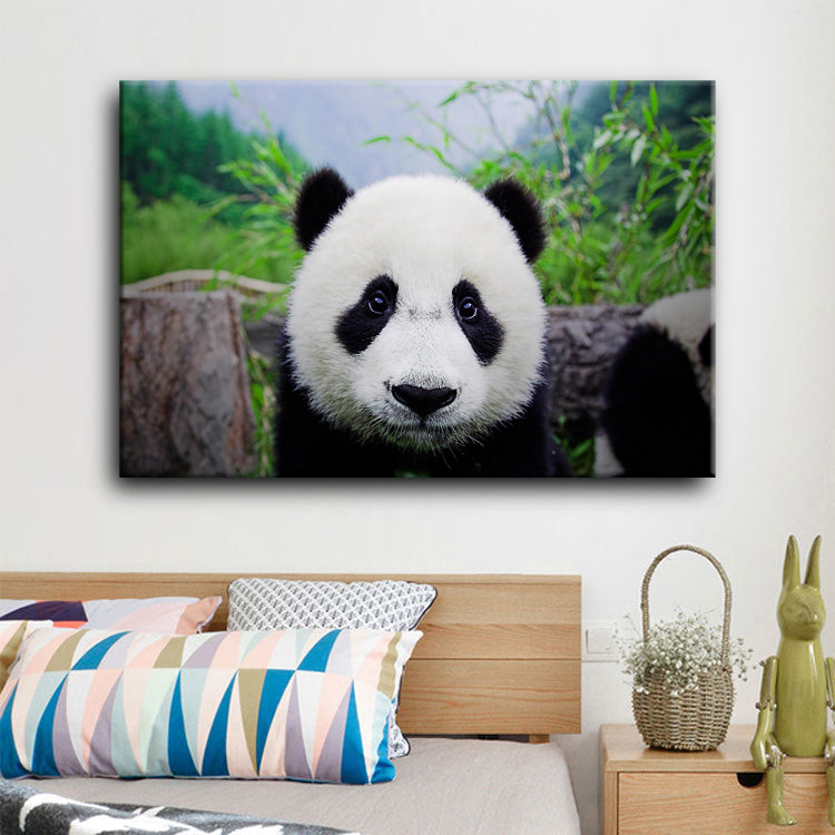 El Adorable Oso Panda Lienzo Artístico 1 Pieza - ARTYHC™
