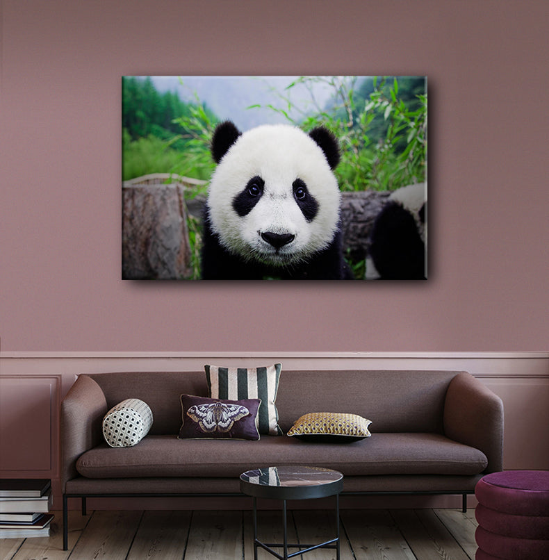 El Adorable Oso Panda Lienzo Artístico 1 Pieza - ARTYHC™