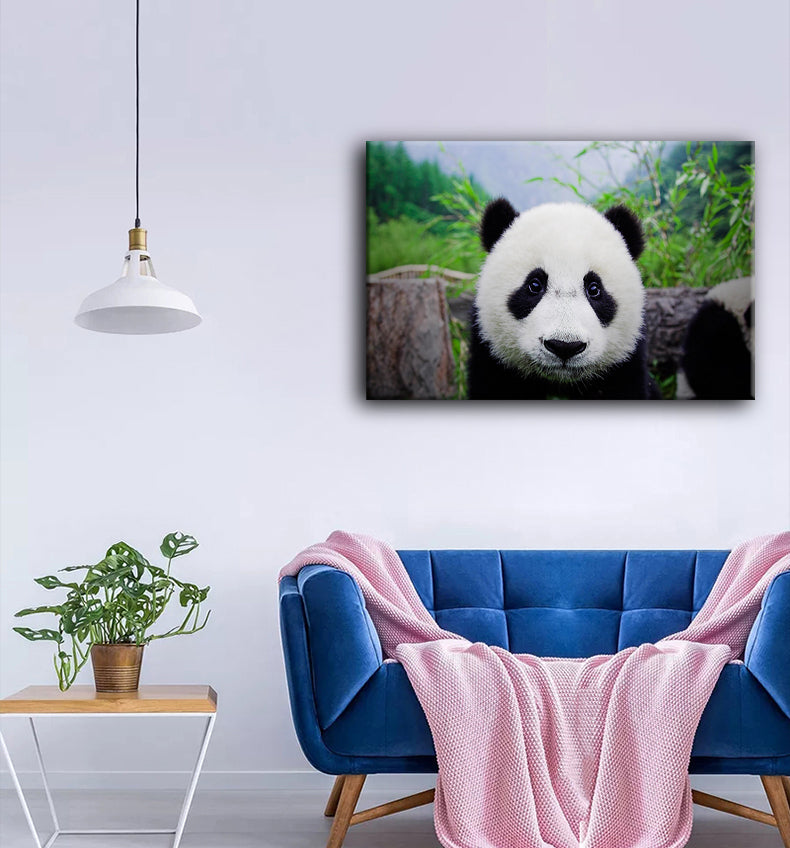 El Adorable Oso Panda Lienzo Artístico 1 Pieza - ARTYHC™