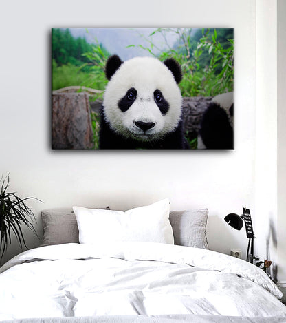 El Adorable Oso Panda Lienzo Artístico 1 Pieza - ARTYHC™