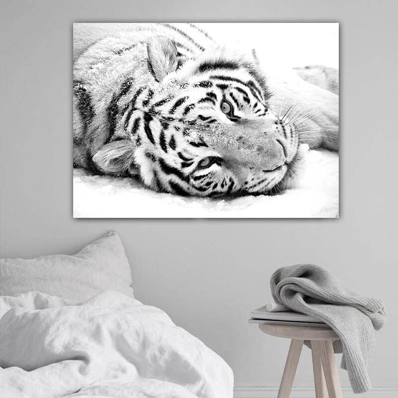 Blanco Nieve Lienzo Artístico 1 Pieza - ARTYHC™