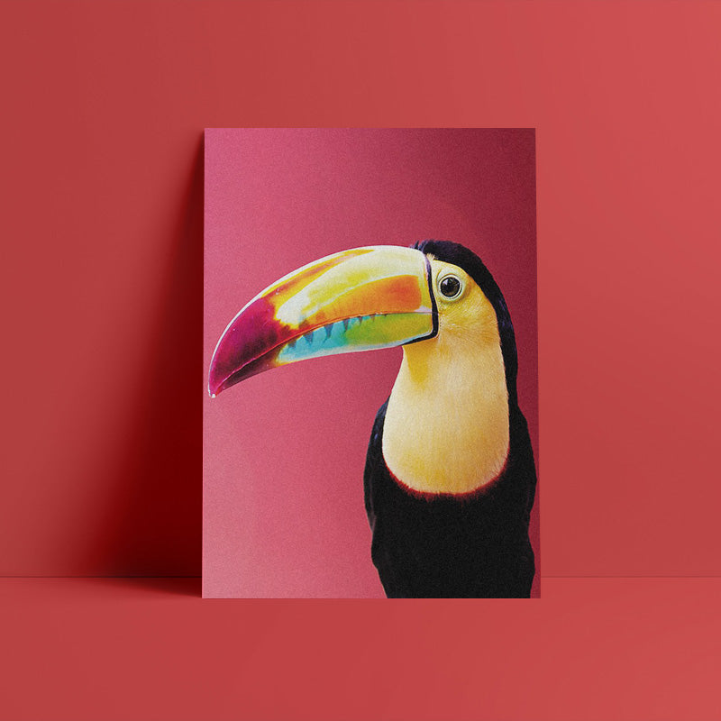 El Tucán Lienzo Artístico 1 Pieza - ARTYHC™
