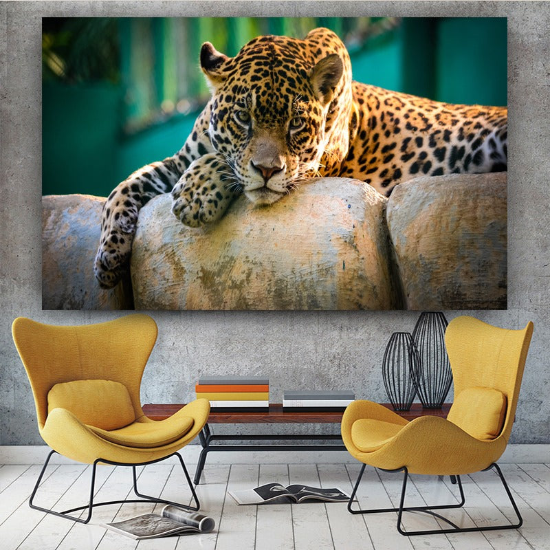 Leopardo del Sahara Lienzo Artístico 1 Pieza - ARTYHC™