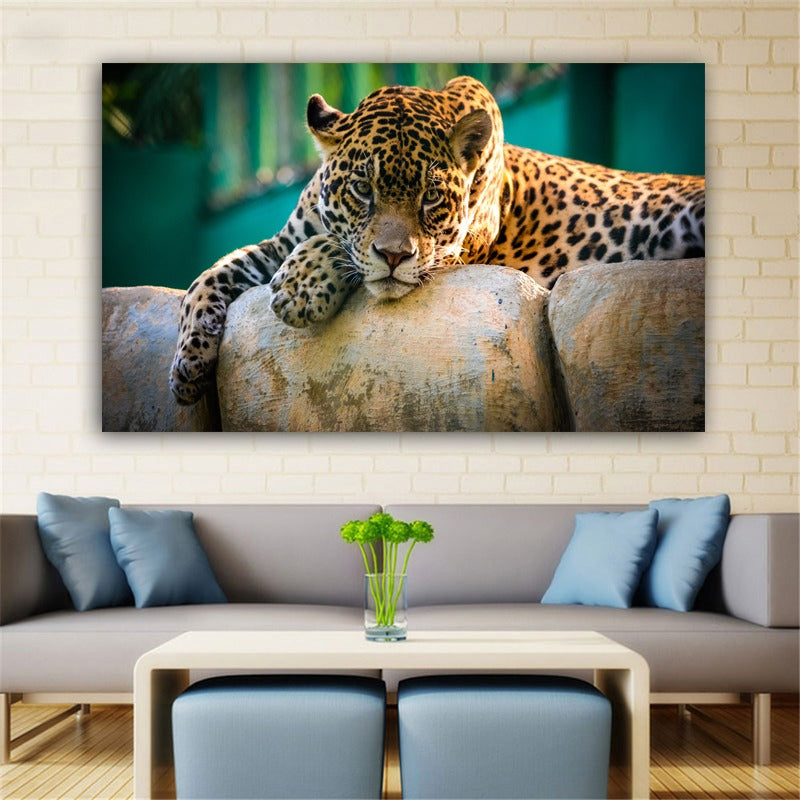 Leopardo del Sahara Lienzo Artístico 1 Pieza - ARTYHC™